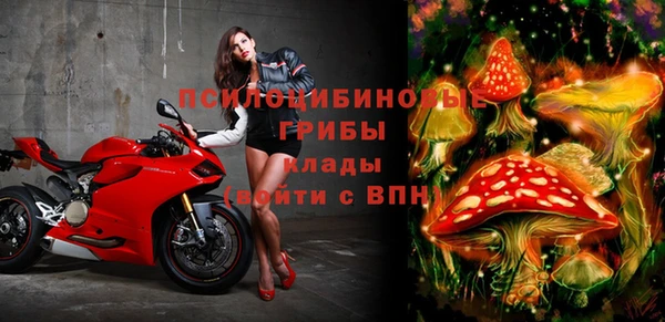 СК Абдулино